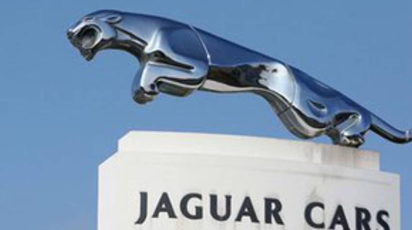 Jaguar_Insights_Success