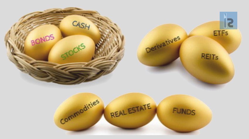 Importance of Portfolio Diversification | Insights Success