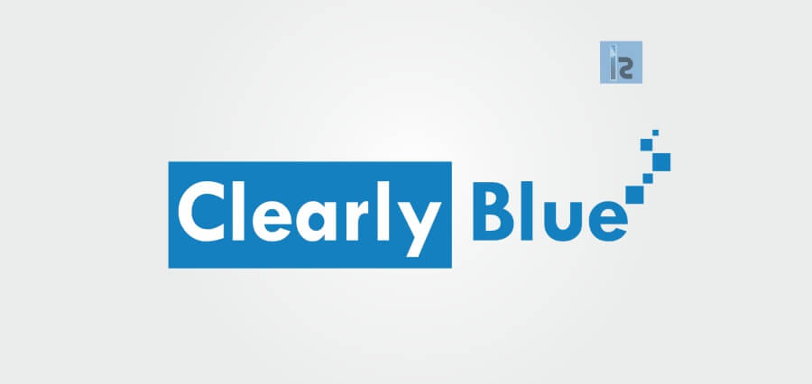 Indian Business Leaders| entrepreneurs| Clearly Blue Digital content design studio