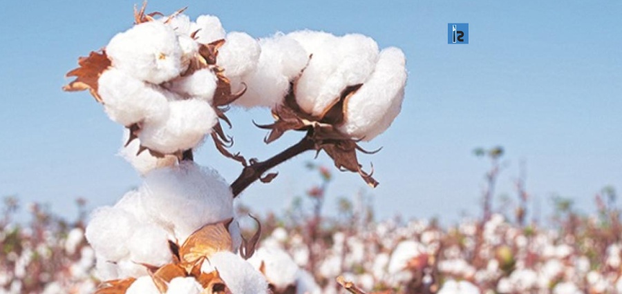 National Seed Association,
