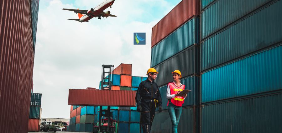 Imports Lower by 5.3%, Exports Reduce by 3.1% in FY24 amid Varied Prospects